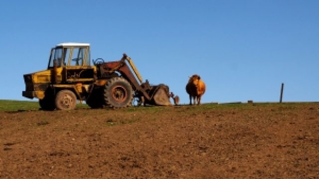 agricultura.jpg