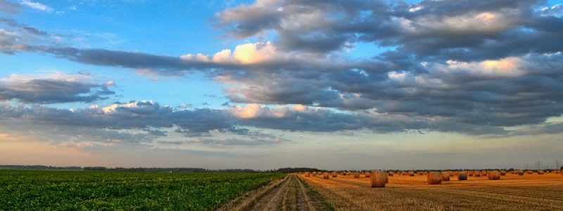 agricultura.jpg