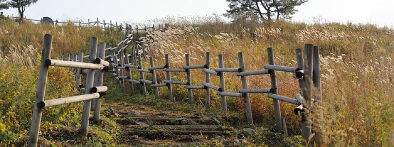 agricultura-pndr.jpg