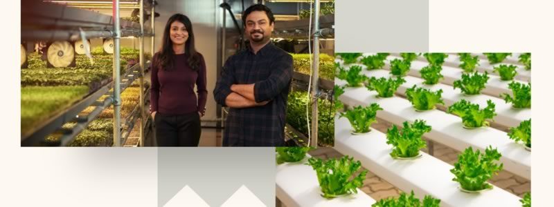 agrifood-rockstart.jpg
