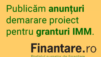 banner-anunturi-granturi-imm-300-2.png