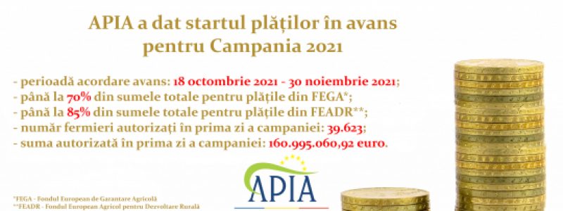 big_cp_final_plati_avans_2021.jpg
