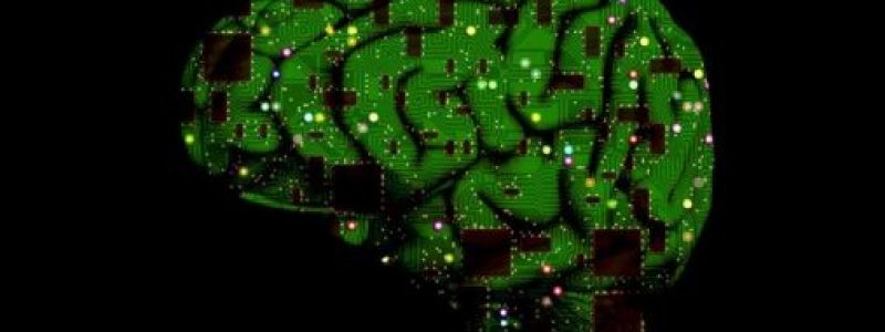 brain-1845944_960_720_0.jpg