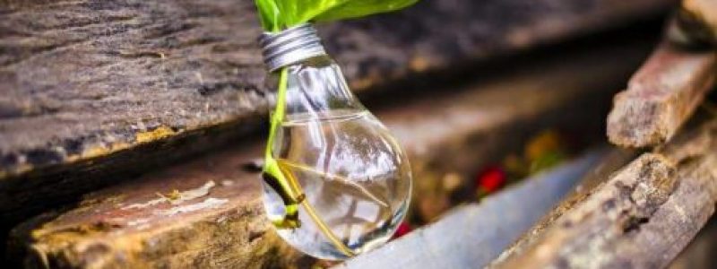 bulb-2587637_960_720.jpg