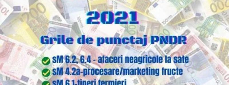 fonduri-europene-2021-grile-punctaj.jpg