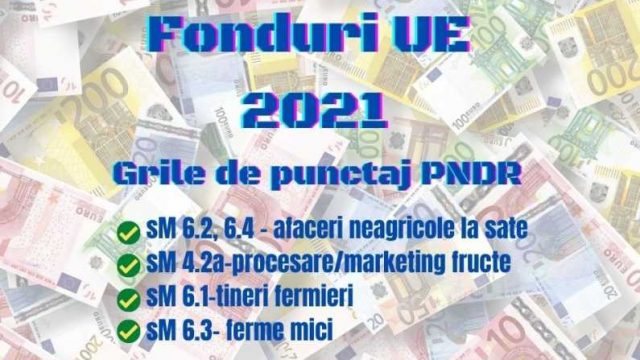 fonduri-europene-2021-grile-punctaj.jpg