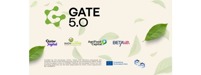 gate-2026.jpg