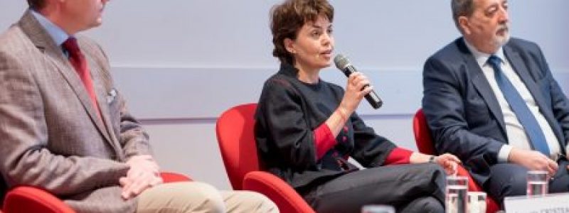 investeu_reprezentanta_comisie.jpg