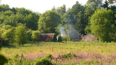 rural-urban.jpg